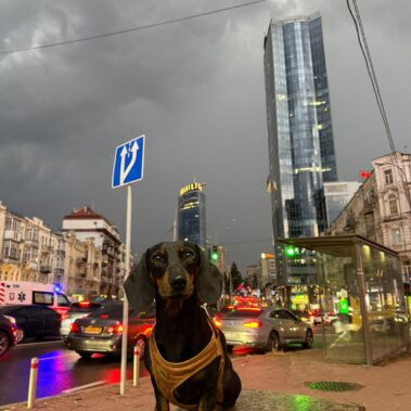 Urbaner Alltag und funktionierende Infrastruktur in Kiew am Abend
