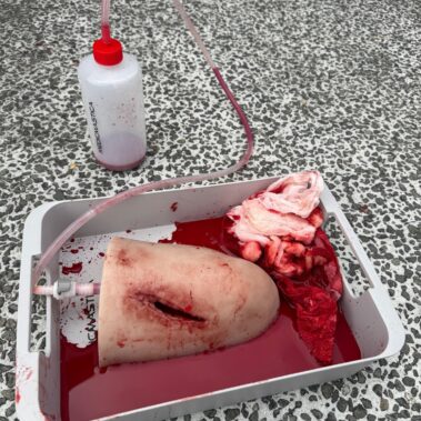 schulung-erste-hilfe-kritis-bund